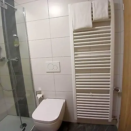 מלון Gaestehaus Birnbaum 3*